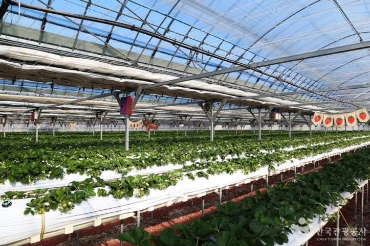 김해가야딸기테마파크_1_공공3유형.JPG