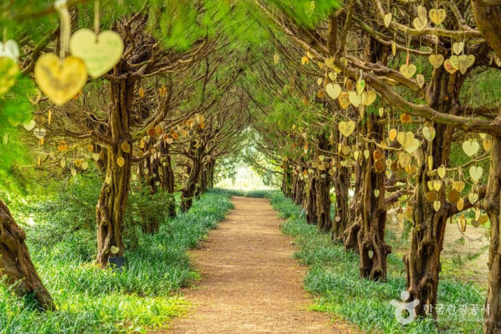 천개의향나무숲_10_공공1유형.jpg