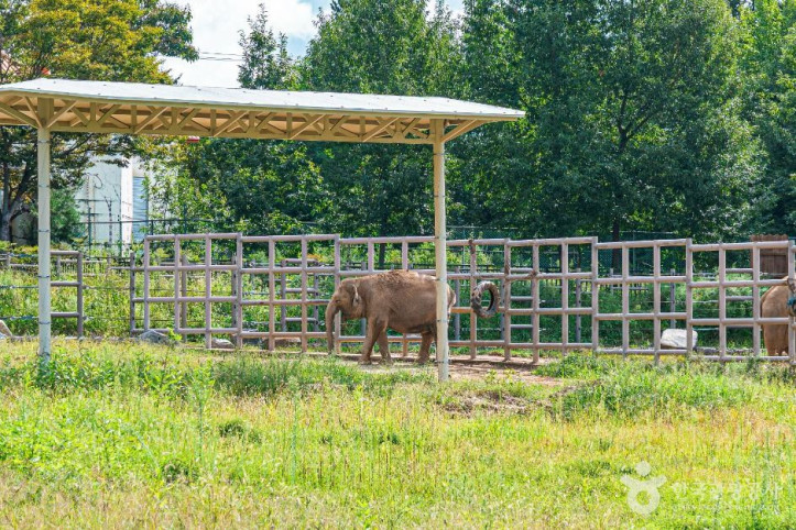 전주동물원_5_공공1유형.jpg