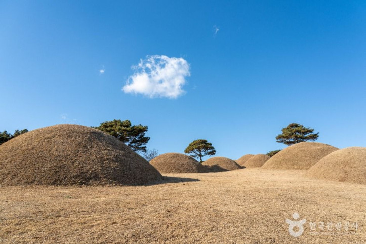 합천_옥전_고분군_3_공공1유형.jpg