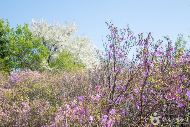 진달래동산_4_공공3유형.jpg