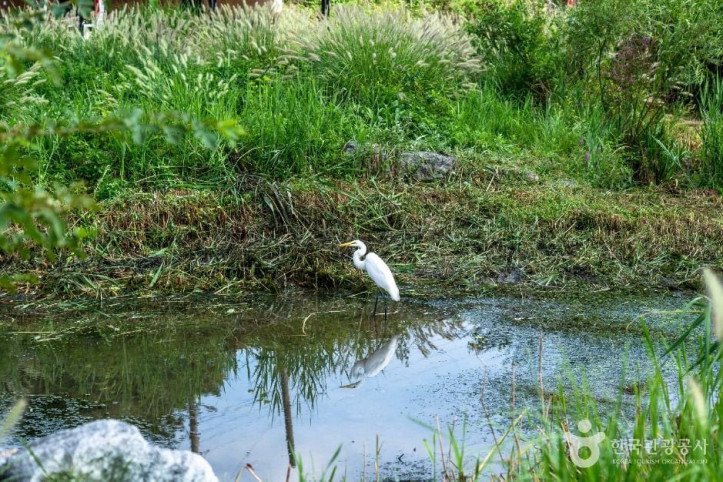 탄천민물고기습지생태원_6_공공1유형.jpg