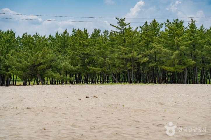 송전해수욕장_6_공공1유형.jpg