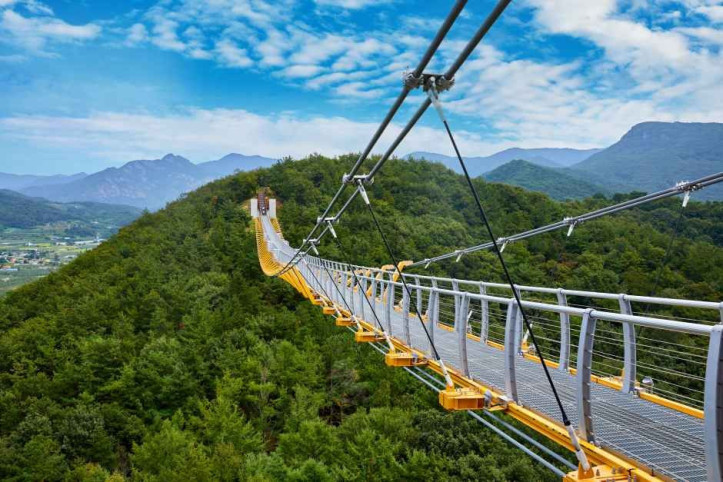 봉명산_출렁다리_4_공공3유형.jpg