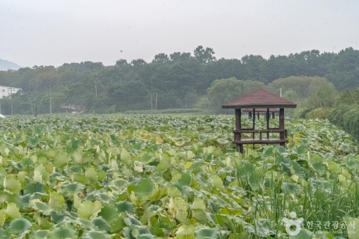 내동마을_연꽃단지_2_공공3유형.jpg