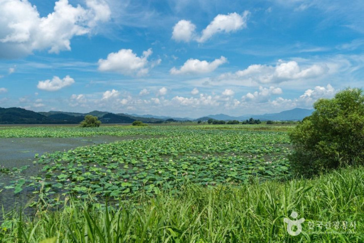 주남저수지_철새도래지_1_공공1유형.JPG