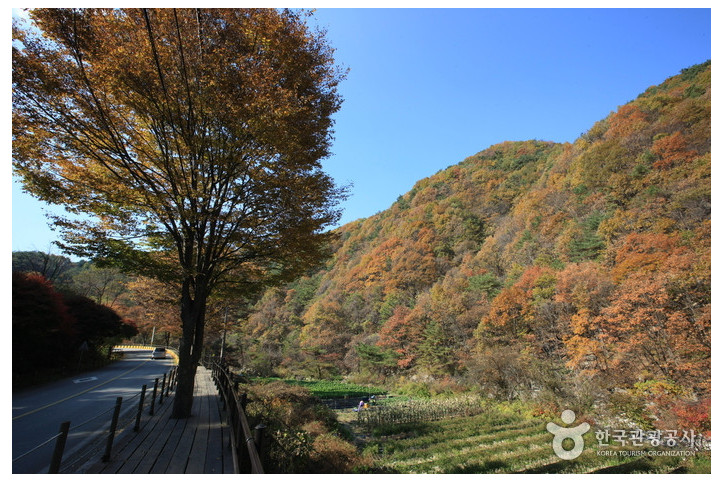 치악산국립공원_3_공공3유형.jpg