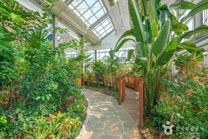 아열대식물원_1_공공1유형.jpg