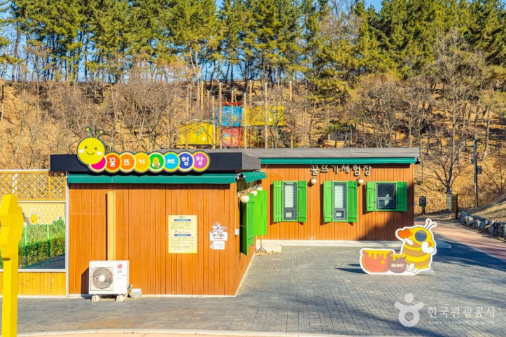 꿀벌나라테마공원_4_공공1유형.jpg