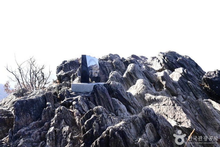 기린봉_3_공공3유형.jpg