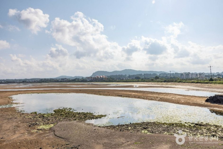 종달리해변_6_공공1유형.jpg
