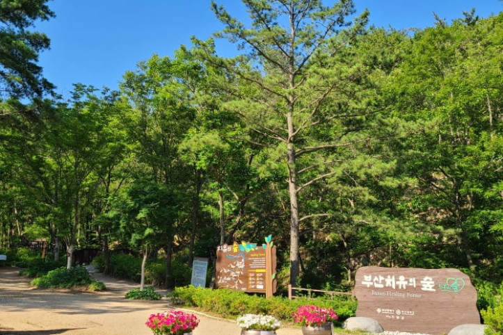 부산_치유의_숲_5_공공3유형.jpg