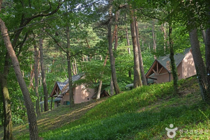 만수산자연휴양림_3_공공3유형.jpg