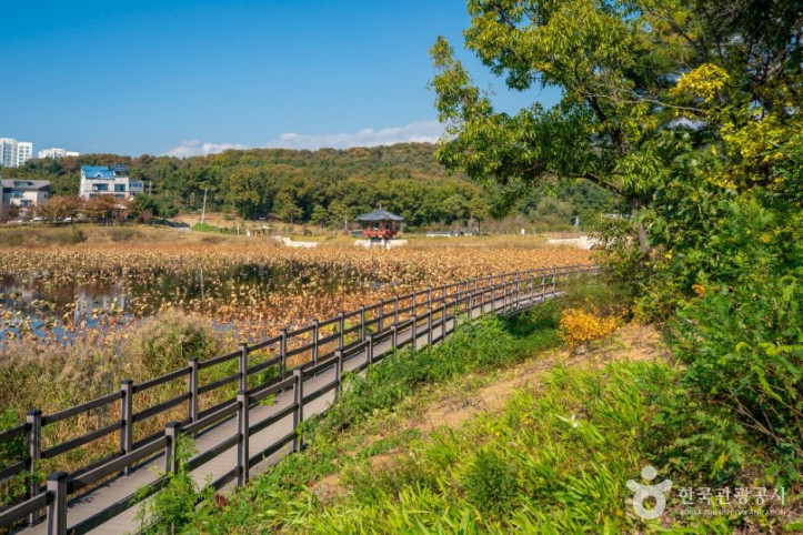 나불지_생태공원_6_공공1유형.jpg