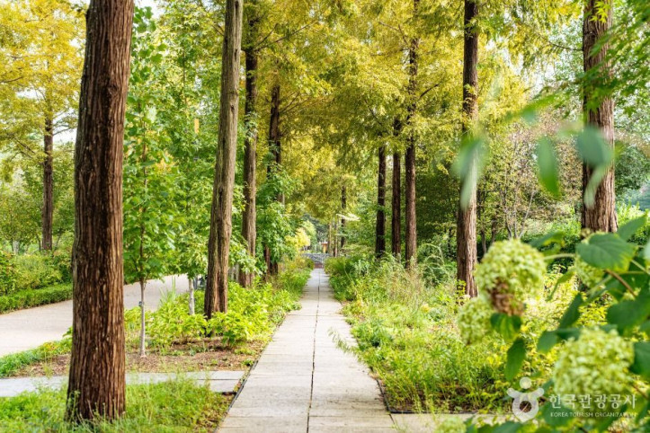 푸른수목원_5_공공1유형.jpg