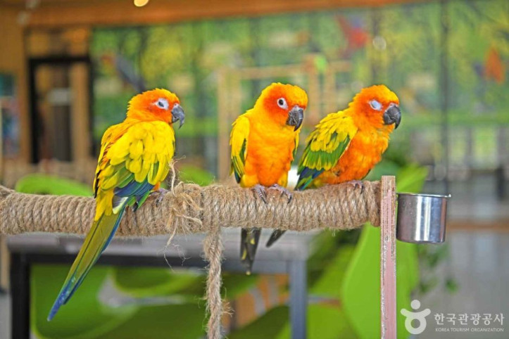 순창앵무새팜_1_공공3유형.JPG