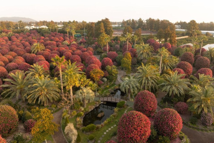 제주동백수목원_4_공공3유형.jpg