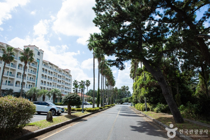 금호리조트_제주_2_공공3유형.jpg