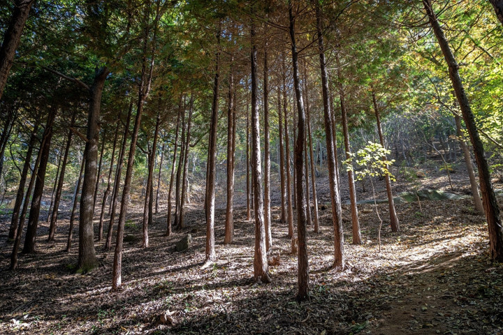 물무산_행복숲_4_공공3유형.jpg
