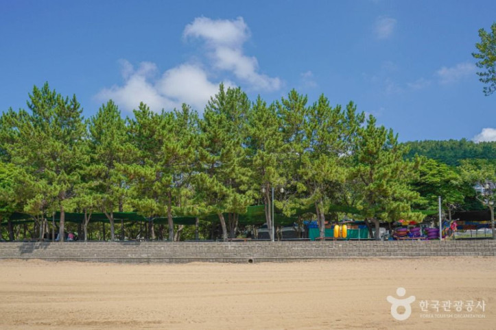발포해수욕장_1_공공1유형.jpg