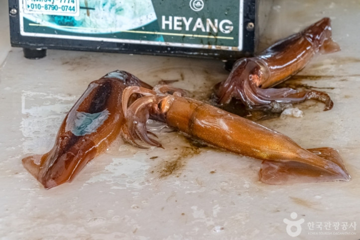 동명항오징어난전_3_공공3유형.jpg