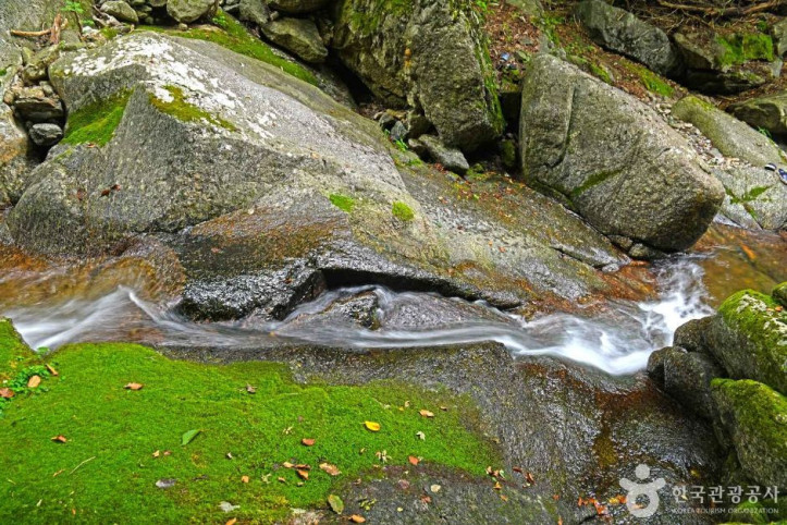 지지계곡_3_공공3유형.JPG