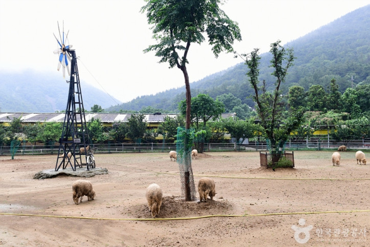 한우드림_동물체험장_10_공공3유형.jpg