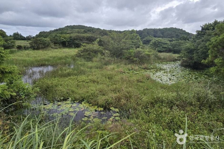 갈마못(갈뫼못)_2_공공3유형.jpg
