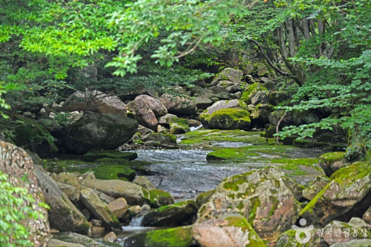 송계계곡_6_공공3유형.JPG