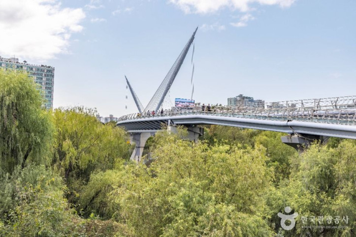 여의도샛강생태공원_9_공공1유형.jpg