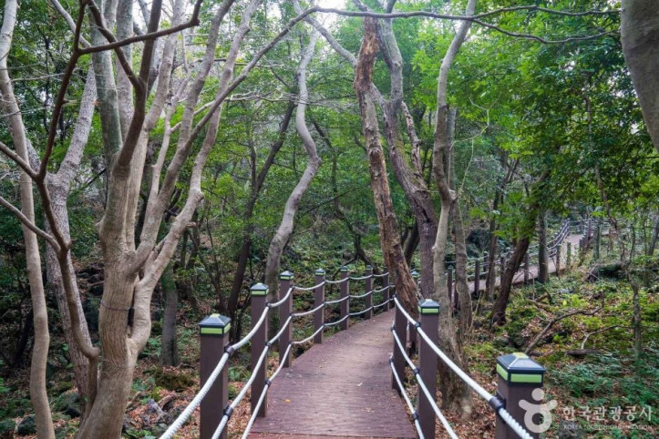 화순곶자왈_생태탐방숲길_6_공공1유형.jpg