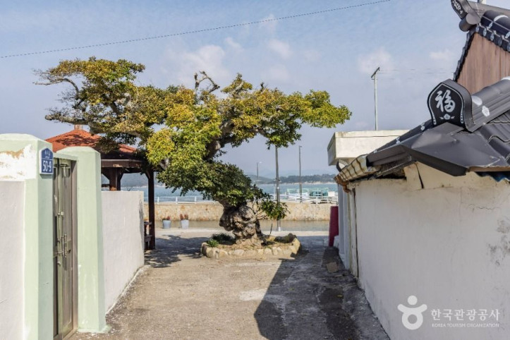 통영_죽도_4_공공1유형.jpg