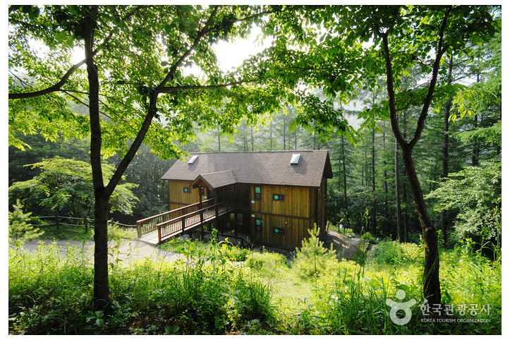 중미산자연휴양림_2_공공3유형.jpg