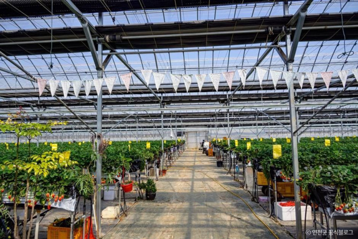 들꽃가람농장_6_공공3유형.jpg