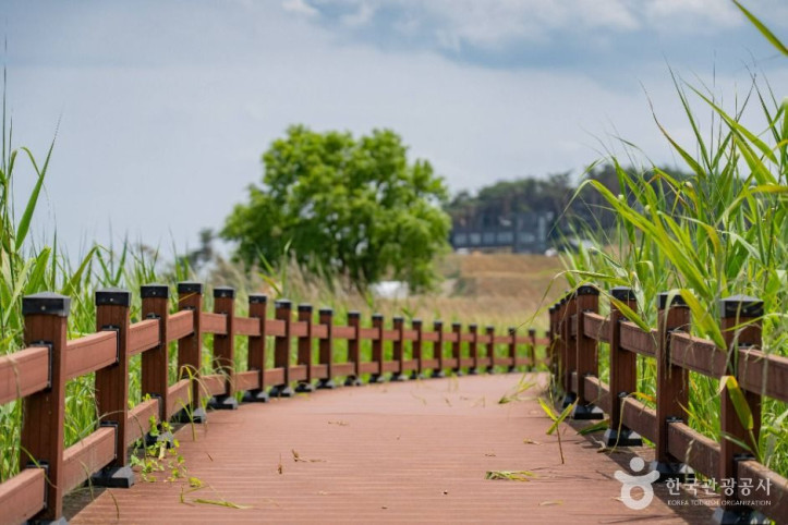 남대천_생태관찰로_3_공공1유형.jpg