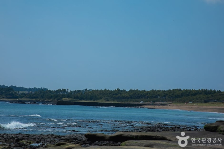 사계해변_3_공공3유형.jpg
