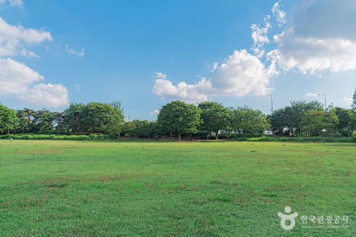 평화잔디광장_1_공공1유형.jpg
