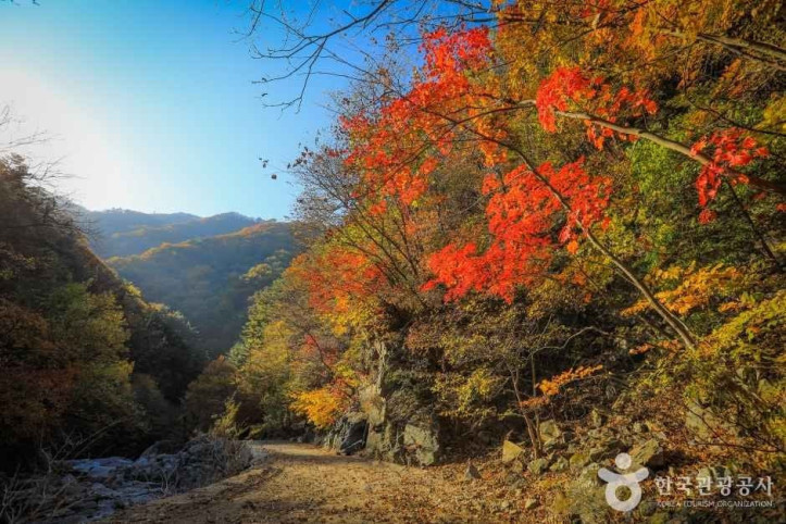 미천골계곡_4_공공1유형.jpg