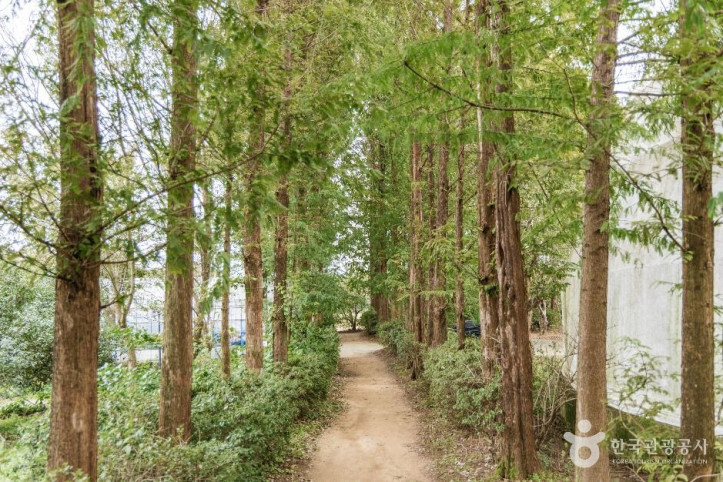 달빛소리_수목원_6_공공1유형.jpg