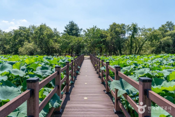 경안천_습지생태공원_4_공공1유형.jpg