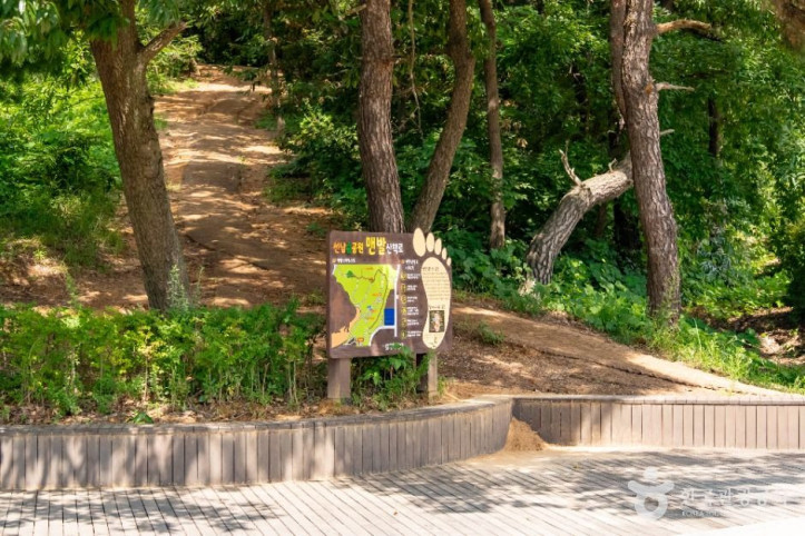 선납숲공원_4_공공1유형.jpg