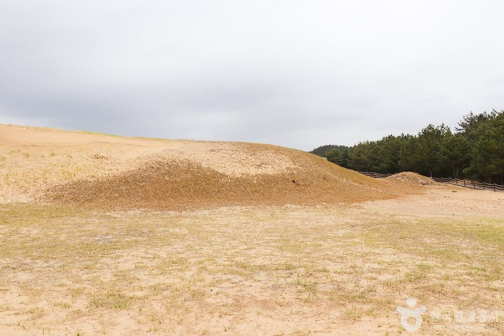 태안_신두리_해안사구_2_공공3유형.JPG