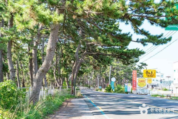 전촌솔밭해변_2_공공1유형.jpg