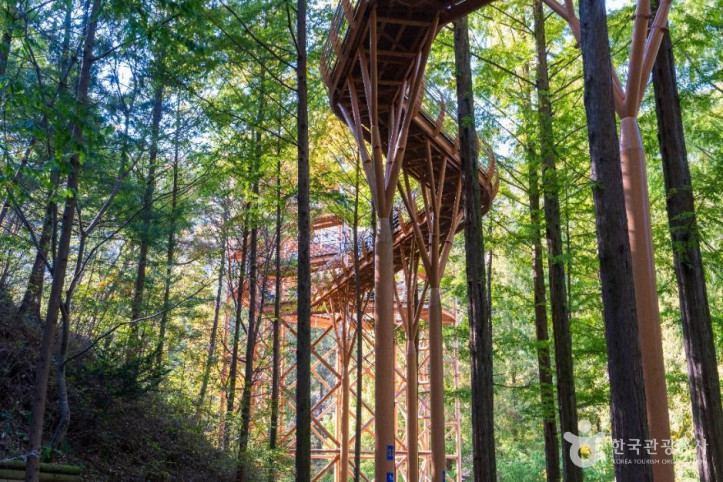 장태산자연휴양림_4_공공1유형.jpg