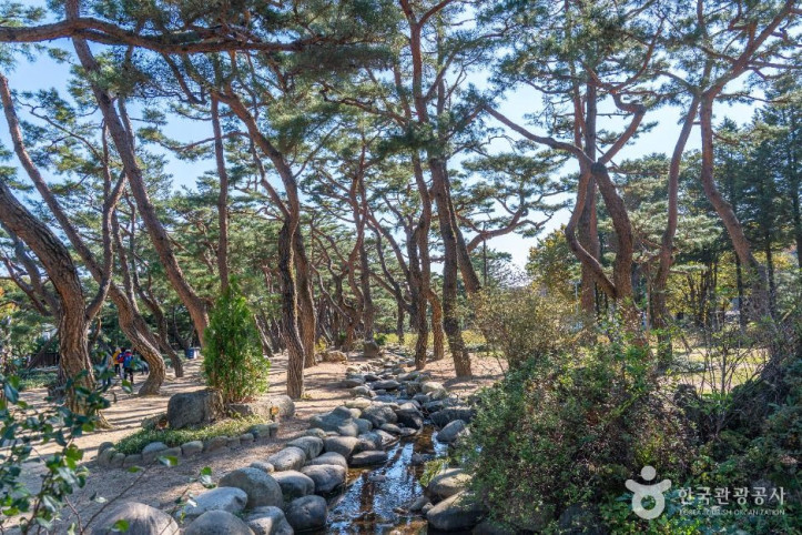 의림지_솔밭공원_4_공공1유형.jpg