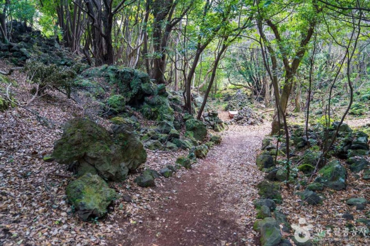 화순곶자왈_생태탐방숲길_5_공공1유형.jpg