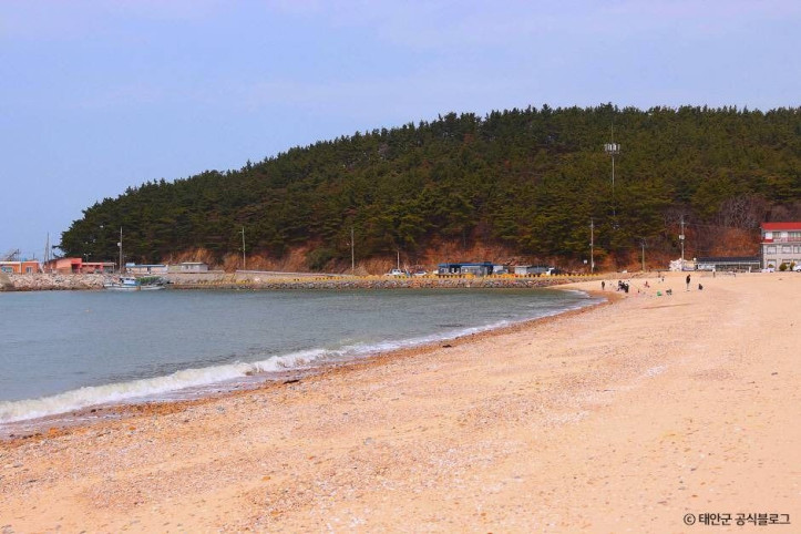 천리포해수욕장_3_공공3유형.jpg