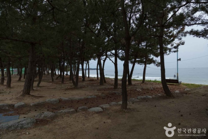 동산해수욕장_2_공공3유형.jpg