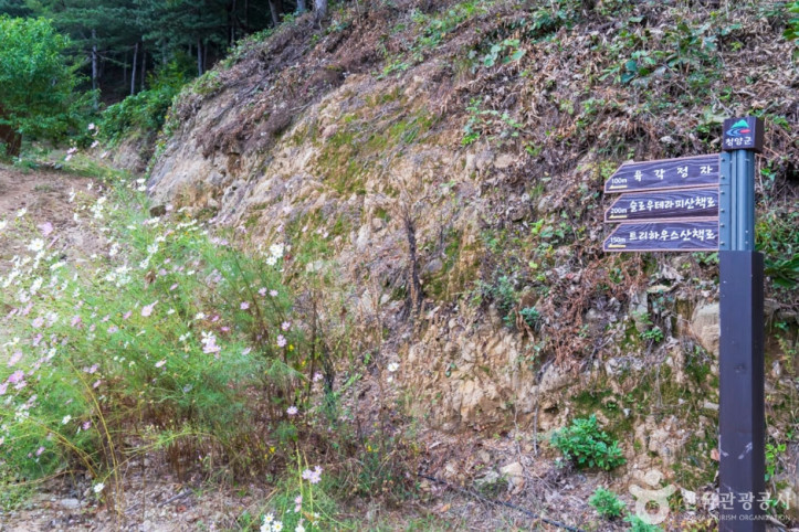 칠갑산산꽃마을_4_공공3유형.jpg