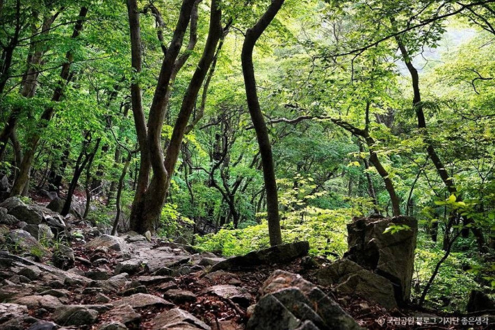 계룡산국립공원_4_공공3유형.jpg